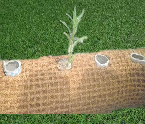 Coir Logs - Image 2