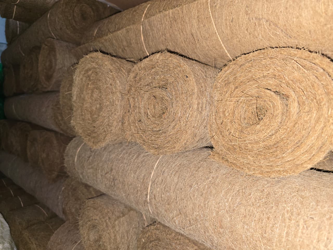 Coir Weed Mats are natural, biodegradable mats made from densely compressed coconut coir fibre designed to offer an effective, eco-friendly weed control solution. These mats are placed on soil surfaces around plants, trees, and garden beds to block sunlight from reaching unwanted weeds, naturally suppressing their growth without the use of chemicals. They also help retain soil moisture, regulate temperature, and reduce soil erosion, making them ideal for nurseries, home gardens, orchards, agroforestry, and landscaping projects. Coir weed mats are porous enough to allow air, water, and nutrients to reach plant roots while keeping weeds from competing for resources. They decompose slowly over time, enriching the soil with organic matter. Lightweight, easy to install, and available in various sizes, these mats are perfect for both small-scale gardening and large agricultural or forestry applications. Their natural appearance blends seamlessly with any landscape, offering a clean and well-maintained look. Coir weed mats provide a safe, sustainable, and long-lasting alternative to plastic weed barriers and harmful herbicides.