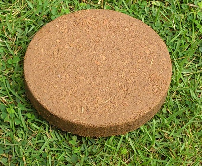 Coco Disc