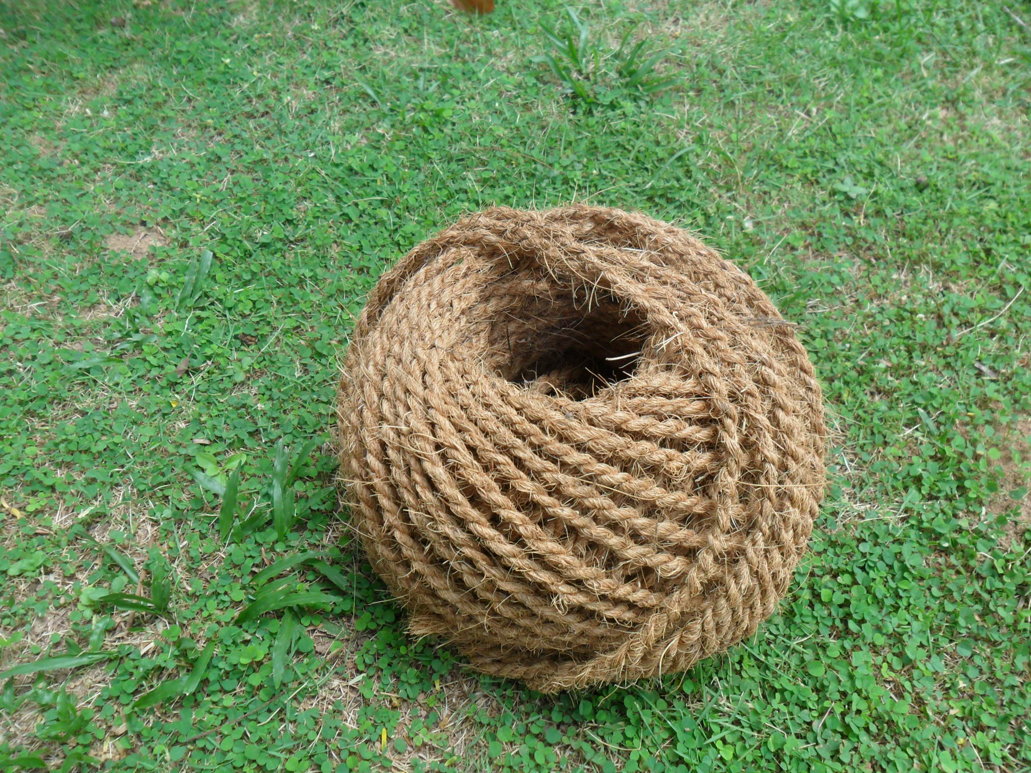 Coir Ropes
