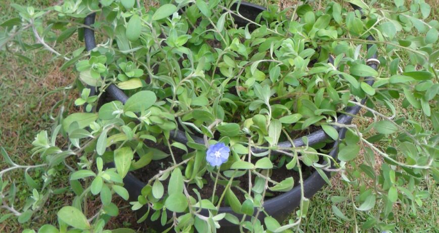 Nekab Lanka supplies a complete range of packaging equipment designed to enhance efficiency, accuracy, and consistency in industrial packaging workflows. Our equipment lineup includes heat sealers, strapping tools, film dispensers, shrink tunnels, and automated wrapping systems suitable for industries of all sizes. Built with durable materials and modern technology, our machines improve productivity by reducing manual labor and minimizing packaging errors. They ensure faster operations, better load stability, and consistent sealing quality. Whether for small businesses or large factories, Nekab Lanka’s packaging equipment provides reliable support to streamline your entire packaging process.