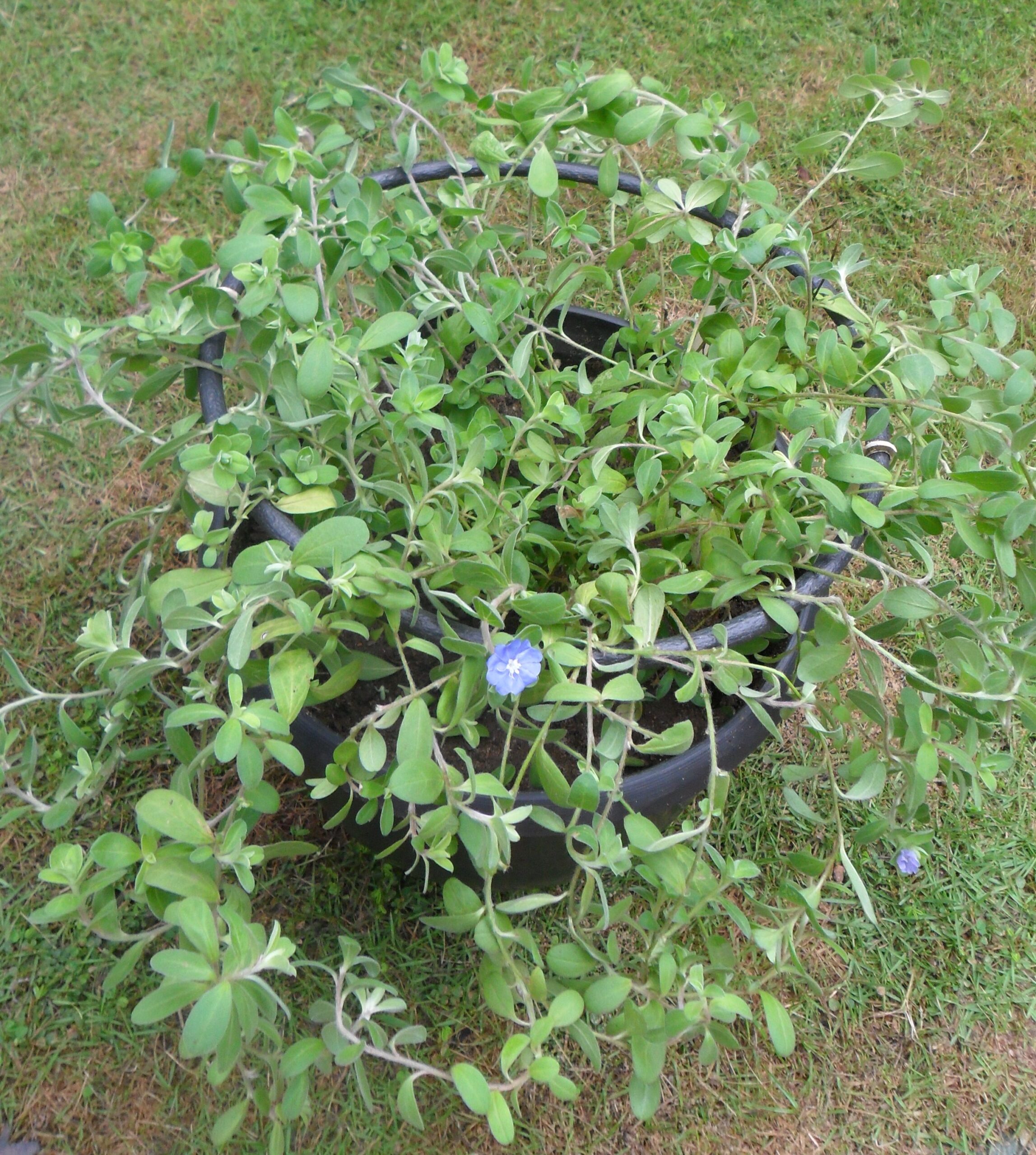 Nekab Lanka supplies a complete range of packaging equipment designed to enhance efficiency, accuracy, and consistency in industrial packaging workflows. Our equipment lineup includes heat sealers, strapping tools, film dispensers, shrink tunnels, and automated wrapping systems suitable for industries of all sizes. Built with durable materials and modern technology, our machines improve productivity by reducing manual labor and minimizing packaging errors. They ensure faster operations, better load stability, and consistent sealing quality. Whether for small businesses or large factories, Nekab Lanka’s packaging equipment provides reliable support to streamline your entire packaging process.